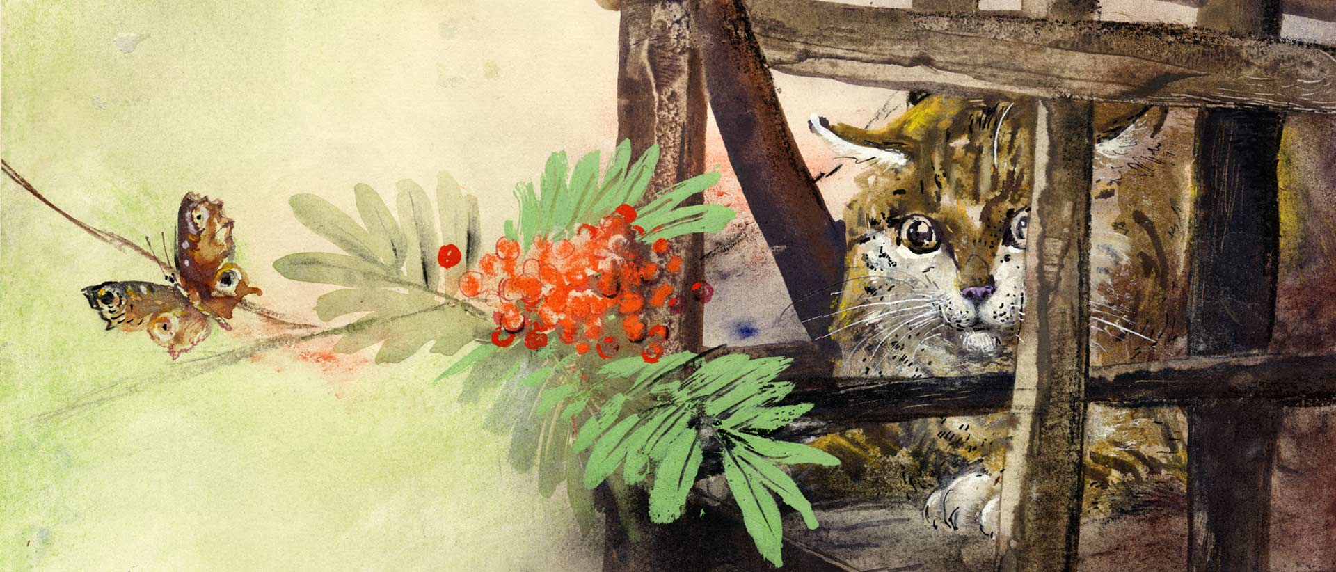 slider-Gerhard-Lahr-Kotte.-Ein-Tag-im-Leben-einer-Wildkatze-small